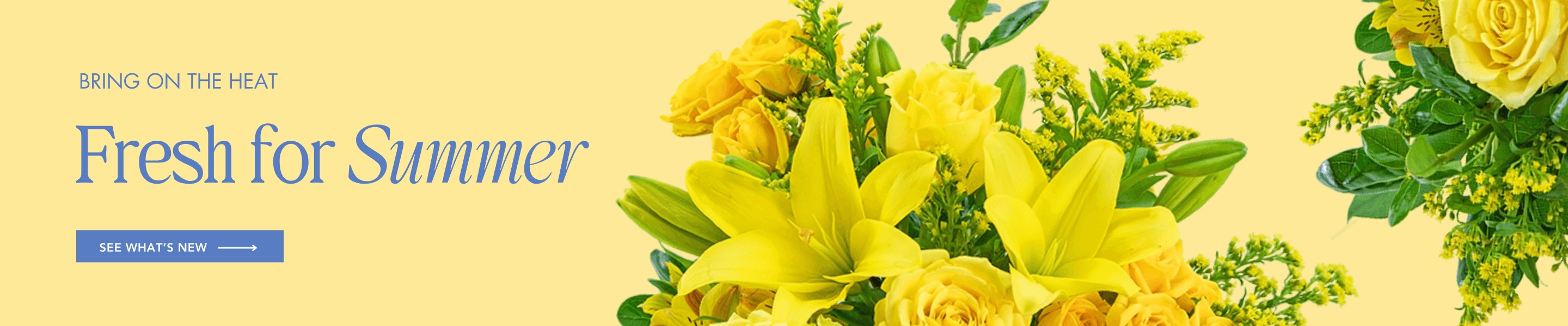 Bring On The Heat, Fresh for Summer. Click here to see what's new.