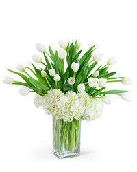 White Elegance -A local Pittsburgh florist for flowers in Pittsburgh. PA White Elegance -A local Pittsburgh florist for flowers in Pittsburgh. PA