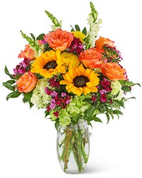 Stunning Seasonal Blooms -A local Pittsburgh florist for flowers in Pittsburgh. PA Stunning Seasonal Blooms -A local Pittsburgh florist for flowers in Pittsburgh. PA