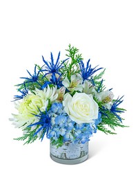 Sparkling Frost -A local Pittsburgh florist for flowers in Pittsburgh. PA Sparkling Frost -A local Pittsburgh florist for flowers in Pittsburgh. PA