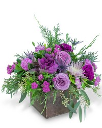 Frosted Amethyst -A local Pittsburgh florist for flowers in Pittsburgh. PA Frosted Amethyst -A local Pittsburgh florist for flowers in Pittsburgh. PA