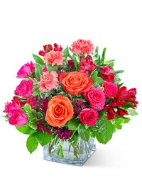 Bellini Beauty -A local Pittsburgh florist for flowers in Pittsburgh. PA Bellini Beauty -A local Pittsburgh florist for flowers in Pittsburgh. PA