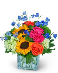 Enchanting Valencia -A local Pittsburgh florist for flowers in Pittsburgh. PA Enchanting Valencia -A local Pittsburgh florist for flowers in Pittsburgh. PA