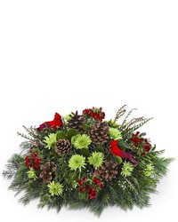 Where Cardinals Gather Centerpiece -A local Pittsburgh florist for flowers in Pittsburgh. PA Where Cardinals Gather Centerpiece -A local Pittsburgh florist for flowers in Pittsburgh. PA