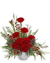 Crimson Radiance -A local Pittsburgh florist for flowers in Pittsburgh. PA Crimson Radiance -A local Pittsburgh florist for flowers in Pittsburgh. PA