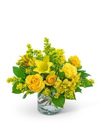 Canary Light -A local Pittsburgh florist for flowers in Pittsburgh. PA Canary Light -A local Pittsburgh florist for flowers in Pittsburgh. PA