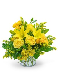 Wild Canary -A local Pittsburgh florist for flowers in Pittsburgh. PA Wild Canary -A local Pittsburgh florist for flowers in Pittsburgh. PA