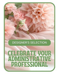 Designer's Selection for Admin Professional's Day -A local Pittsburgh florist for flowers in Pittsburgh. PA Designer's Selection for Admin Professional's Day -A local Pittsburgh florist for flowers in Pittsburgh. PA