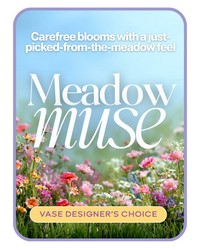 Meadow Muse - Designer's Choice -A local Pittsburgh florist for flowers in Pittsburgh. PA Meadow Muse - Designer's Choice -A local Pittsburgh florist for flowers in Pittsburgh. PA