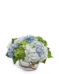 Dreamy Hydrangea -A local Pittsburgh florist for flowers in Pittsburgh. PA Dreamy Hydrangea -A local Pittsburgh florist for flowers in Pittsburgh. PA