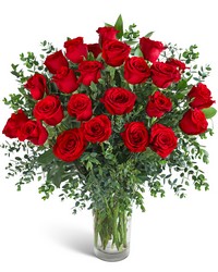 Two Dozen Red Hot Roses -A local Pittsburgh florist for flowers in Pittsburgh. PA Two Dozen Red Hot Roses -A local Pittsburgh florist for flowers in Pittsburgh. PA